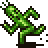 Celer's Avatar